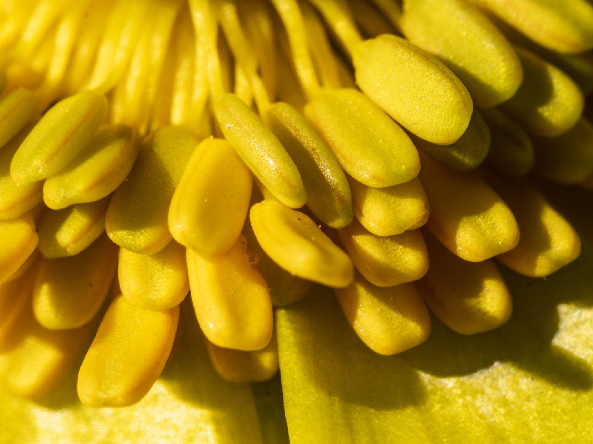 104 260417 1518 J  2JR0160 DxO DeepPRIME 3